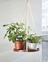 Pot rack ladder with hanging pots and pans. 20 Stylish Ideas For Decorating Your Small Space With Plants Living In A Shoebox