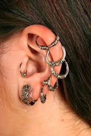 Cartilage Earrings Lovetoknow