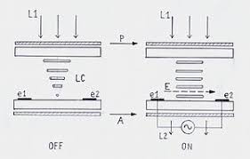 Image result for ahva lcd