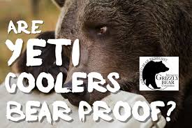 are yeti coolers certified bear proof