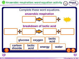 contents respiration releasing energy