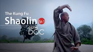 the kung fu shaolin 1 you
