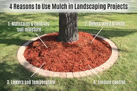 use mulch in landscaping projects