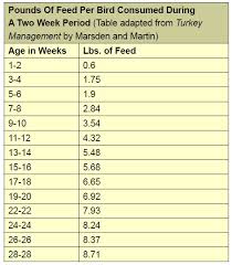 Raising Turkeys Feeding Housing Diseases And Organic Care