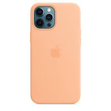 เคสซิลิโคนสำหรับ iPhone 12 Pro Max พร้อม MagSafe - สีแคนตาลูป - Apple (TH)