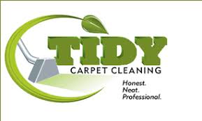 tidy green carpet cleaning