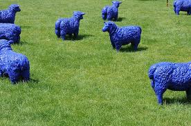 sheep blue art pasture flock