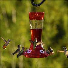 Bird Health Garnet Glass Hummingbird