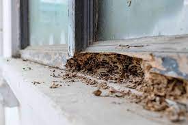 how much does termite removal cost in