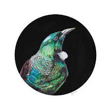 Zealand Art Tui Fine Art Bird Art