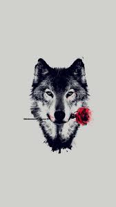 the wolf wallpaper