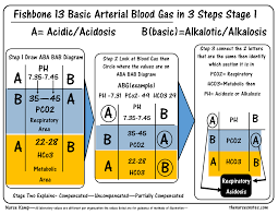 Abg Fishbone Diagram This Is The 13th In The Series Of