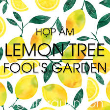 hợp âm lemon tree fool s garden