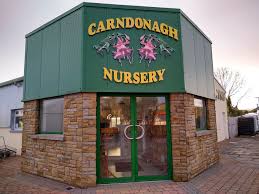 carndonagh nursery garden centre