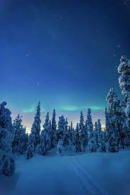 Trees, snow, winter, night, landscape ...