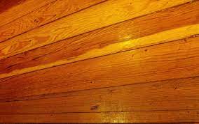 pine flooring pros and cons the basic