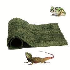 reptile hibian carpet moss carpet