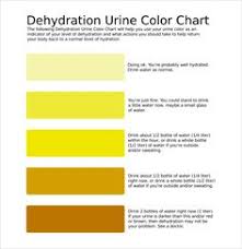 12 Best Pee Images In 2019 Pee Color Color Color Of Urine