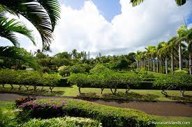 Botanical Gardens On Kauai