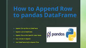 how to append row to pandas dataframe