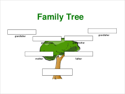 Family Tree Template 53 Download Free Documents In Pdf Word Ppt