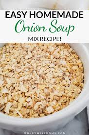 homemade dry onion soup mix moneywise