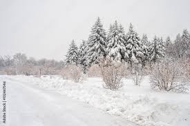 winter snowy landscape in montreal