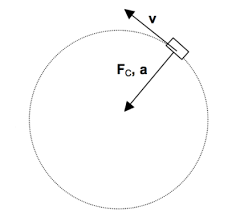 centripetal force facts and concepts