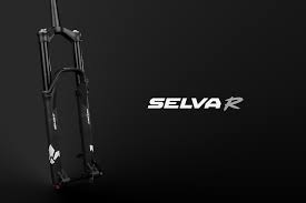All The Adjustments Formula Introduces The Selva R Fork