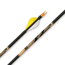 Beman Ics Precision Hunter Arrows 6 Pack