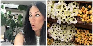 joanna gaines flower arrangements