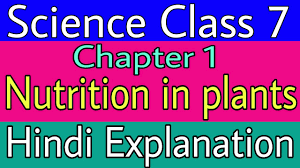 nutrition in plants cl 7 in hindi