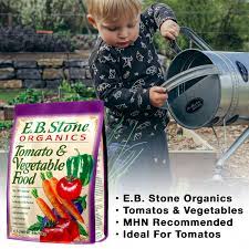 e b stone tomato vegetable plant