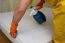 how to use a carpet cleaner on a mattress