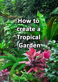 How To Make A Tropical Garden Design