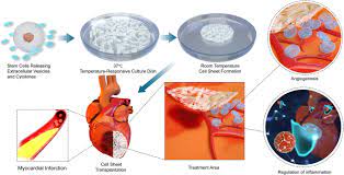 Stem Cell Research & Therapy - BioMed Central gambar png