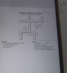 plants complete the crossword puzzle