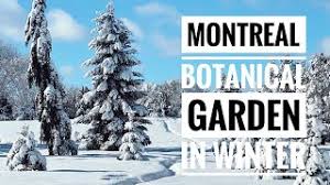 montreal botanical garden in winter