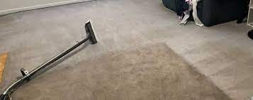 1 carpet cleaning in wilmington nc