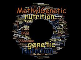 understanding methylgenetic nutrition