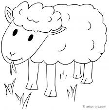 Sheep is one of the ruminants as a source of animal protein that is widespread in the community. Sheep Coloring Page Printable Coloring Page Artus Art