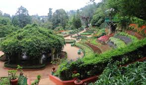 government botanical gardens ooty