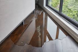 can mold grow under laminate flooring