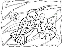 70+ animal colouring pages free download & print! Animals Coloring Pages For Toddlers Preschool And Kindergarten