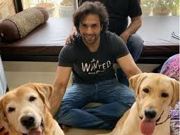 Fire Breaks Out At Arjun Actor Shaleen Malhotra House, His Pet Dog Gets  Injured | Fire Breaks Out At 'Arjun' Actor Shaleen Malhotra's House; His  Pet Dog Gets Injured