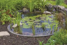 Diy Pond Filter Design Garden Pond