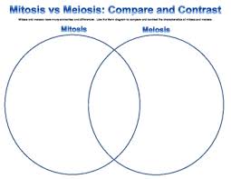 Mitosis And Meiosis Characteristics Compare And Contrast