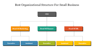 best organizational structure for small