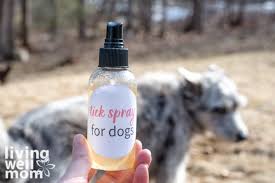 natural tick repellent for dogs