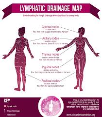 Lymphatic Skin Brushing For Breast And Body Health